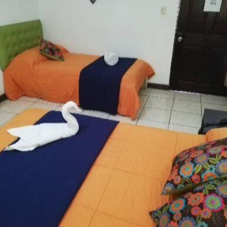 Best Hostel San Jose 外观 照片